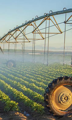 Bombas Sumergibles Solares para Agricultura